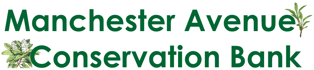 Manchester Avenue Conservation Bank Logo