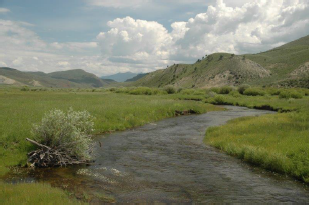 Wetland in Eastern Idaho Land Stewardship