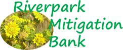 Riverpark Mitigation Bank Logo