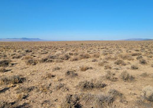 Sage Grouse Habitat Land in Central Oregon - Projects Conservation Banking